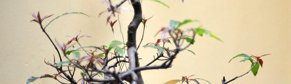 Beste Fahrschule Teltow